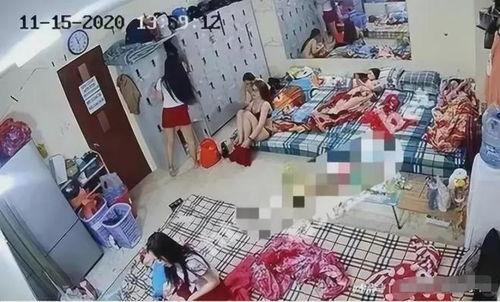 缅甸诈骗爆料视频最新,最新爆料视频曝光惊人内幕